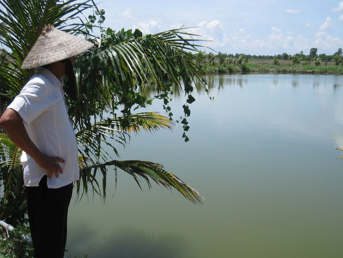 Ông Minh bên ao tôm vừa bị thương lái cân gian lận