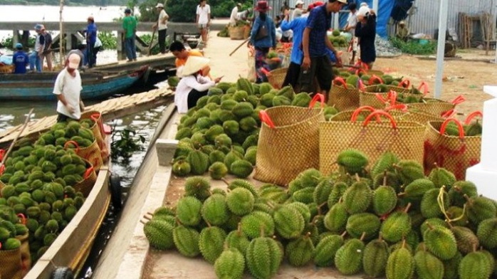 Ảnh minh họa Ảnh minh họa