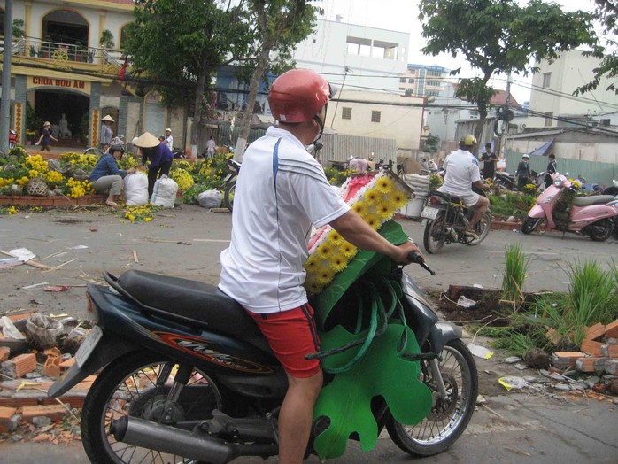 Hoa mô hình bằng nhựa được chở về nhà