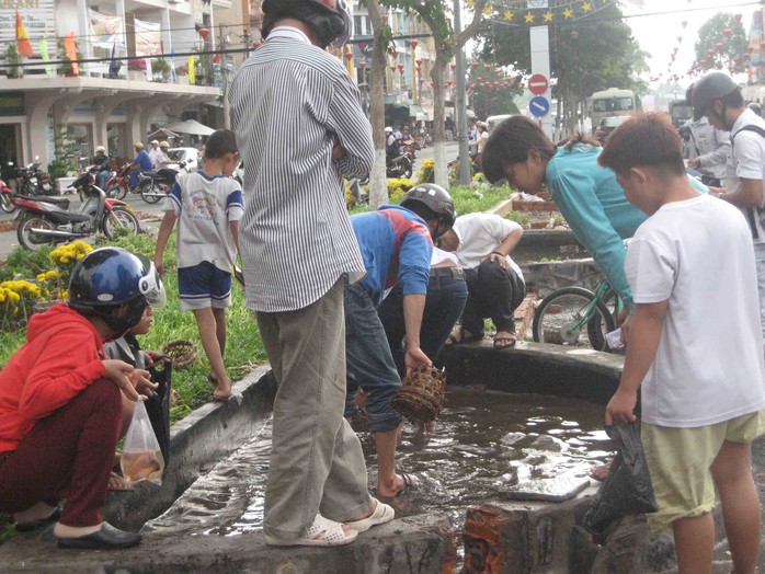 Nhiều người tranh nhau vớt cá