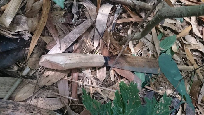 Con dao tang vật của vụ thảm sát được tìm thấy trong rừng