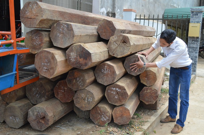Số gỗ trong nhà ông Nguyễn Xuân Cự bị thu giữ