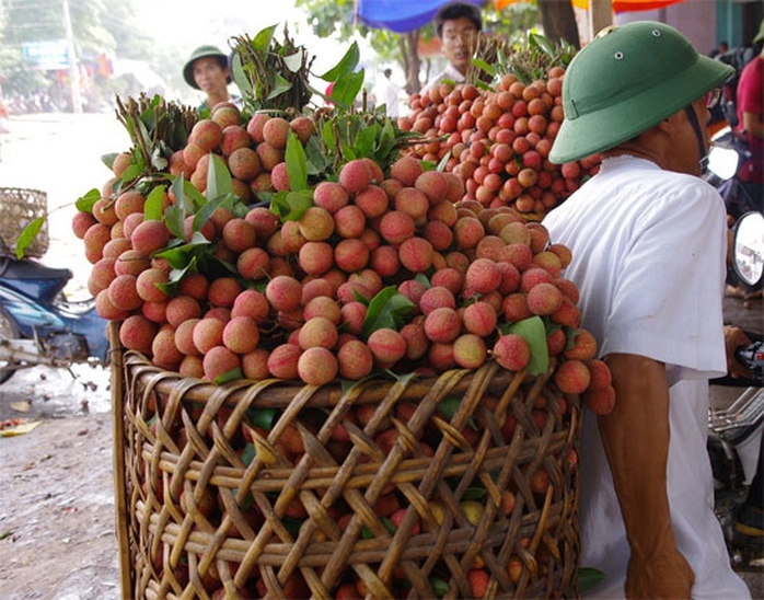 Dự kiến vải tiêu thụ nội địa khoảng 60%, tương ứng 120.000 tấn, số còn lại sẽ xuất khẩu