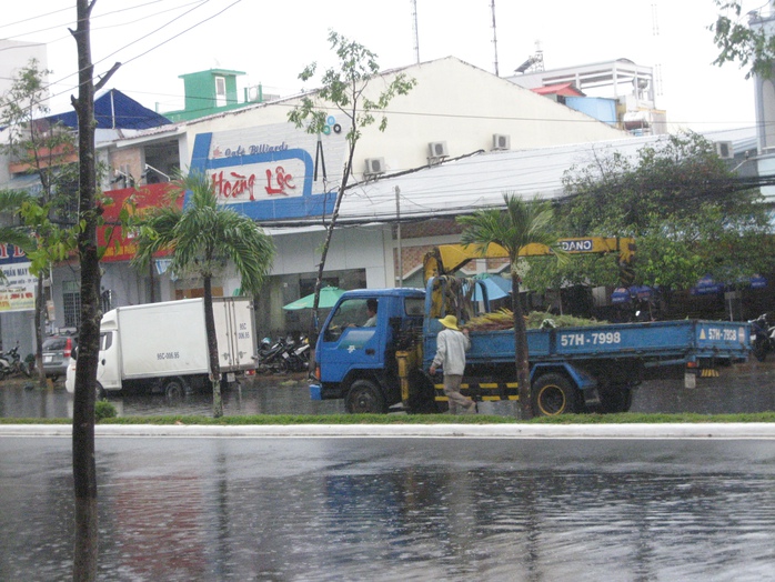 Đội ngũ xe của Công ty Công trình đô thị TP Cần Thơ tức tốc đi dọn dẹp rác, nhánh cây gãy đổ sau cơn mưa