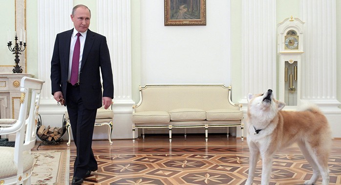 Tổng thống Putin và cô chó Yume. Ảnh: SPUTNIK NEWS