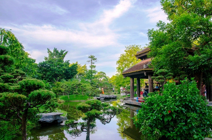 
“Thế giới cây cỏ” của nhà báo, Đại tá quân đội Sử Trường Sơn nằm trong ngõ nhỏ đường An Dương (quận Tây Hồ, TP Hà Nội)
