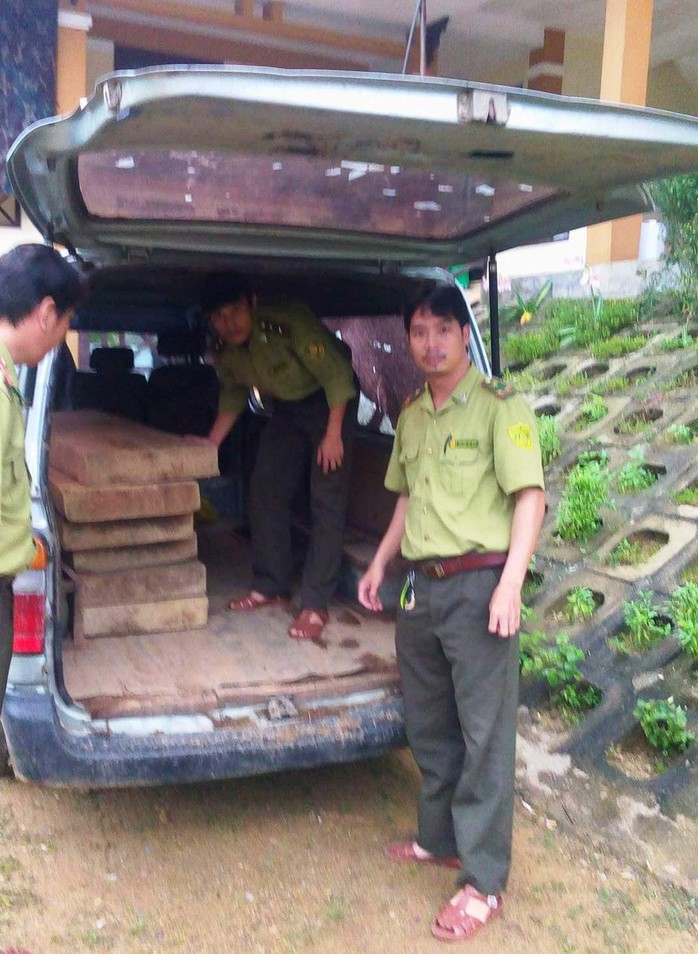 Số gỗ lậu trên do nhóm đối tượng vào khu vực rừng VQG Phong Nha – Kẻ Bàng để khai thác trái phép đã được tạm giữ