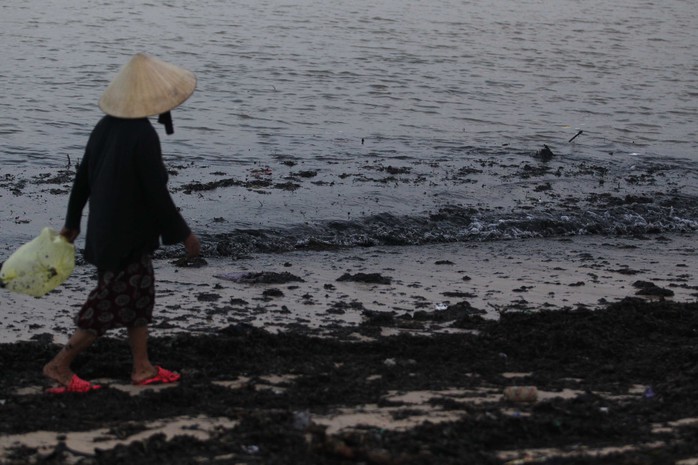 
Tại bãi biển Nhật Lệ nước biển chuyển màu đen loang lổ vì cành cây, rác thải từ nhiều nơi tấp vào
