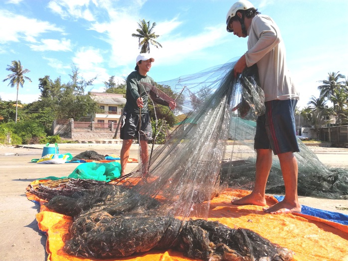 Ngư dân TP Phan Thiết rất phấn khởi vì mùa ruốc năm nay được cả mùa lẫn giá.