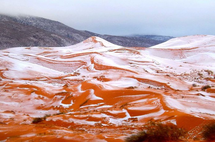 Tuyết rơi ở sa mạc Sahara hôm 20-12. Ảnh: KARIM BOUCHETATA