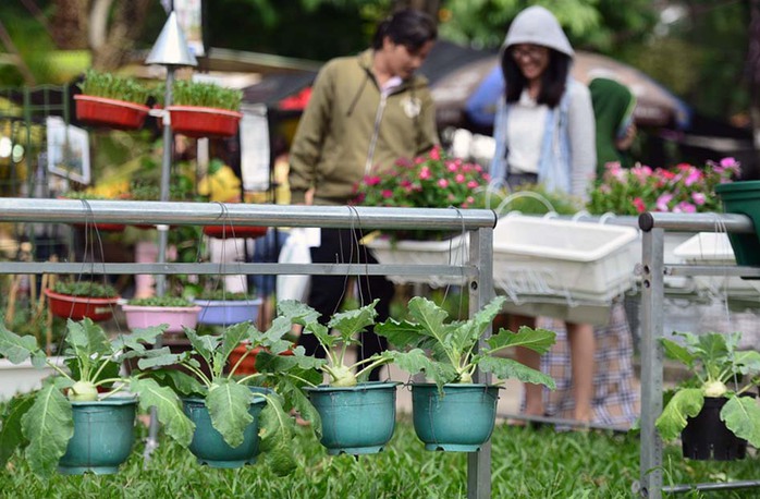 Ngoài triển lãm cá, hội chợ còn có nhiều mô hình, sản phẩm, cây giống nông nghiệp với 300 gian hàng đến từ 20 tỉnh thành.