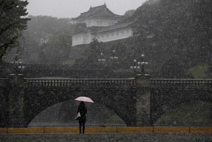 Tuyết rơi ở thủ đô Tokyo hôm 24-11. Ảnh: REUTERS