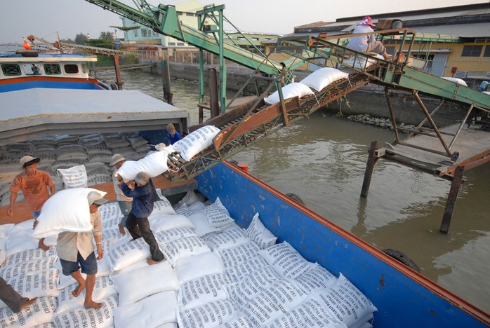 Hiệp hội Lương thực Việt Nam đề xuất áp giá sàn xuất khẩu gạo ở mức 500 USD/tấn- Ảnh 1. Hiệp hội Lương thực Việt Nam đề xuất áp giá sàn xuất khẩu gạo ở mức 500 USD/tấn- Ảnh 1.