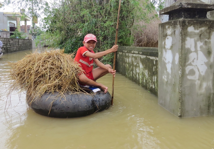 Trẻ em chèo phao mang rơm cho trâu tránh lũ