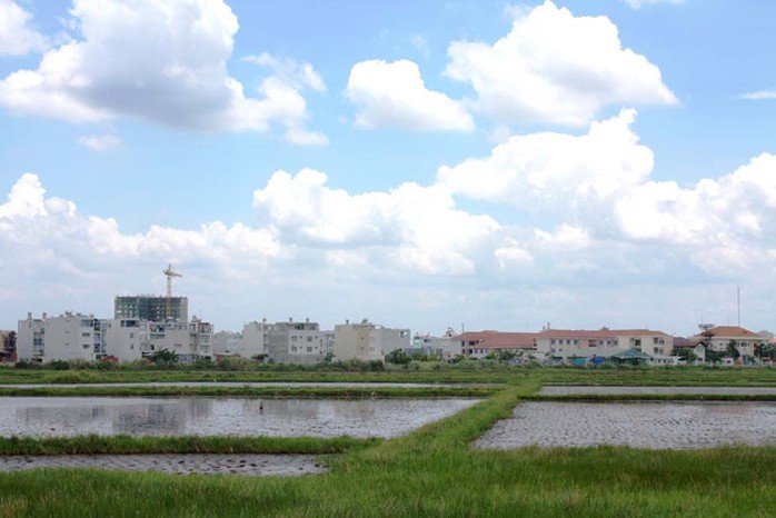 Sở Tài nguyên và Môi trường TP HCM vừa ban hành dự thảo sửa đổi quy định về diện tích tối thiểu được tách thửa để lấy ý kiến đóng góp