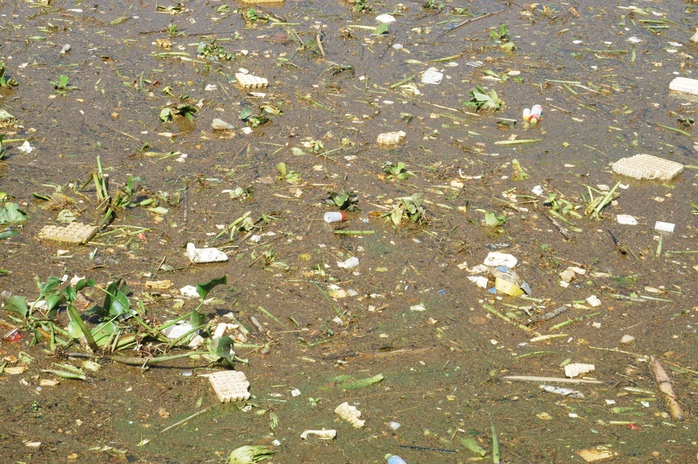
Đủ các loại rác thải bủa vây tại cống thoát nước chảy qua đường Trần Quốc Toản.

