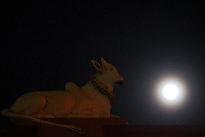 Mặt trăng nhìn sáng và lớn rõ rệt so với mặt trăng thông thường. Trong ảnh là hình ảnh mặt trăng trên mái nhà thờ hồi giáo trên đường Nam kỳ Khởi Nghĩa (quận 1).