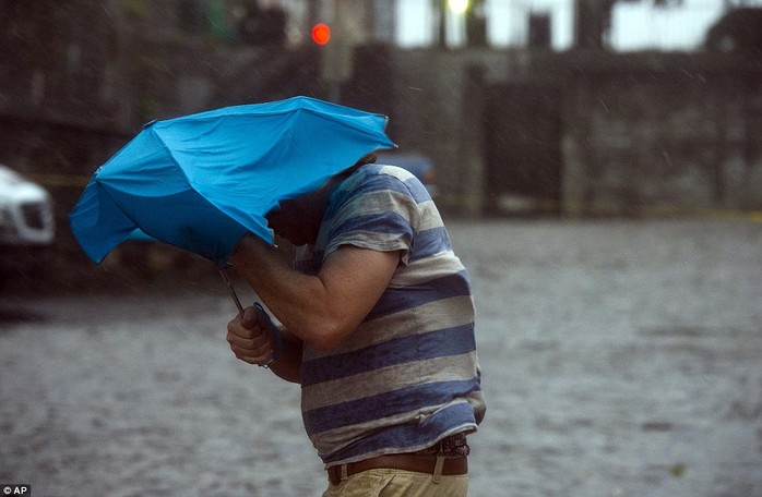 
Một người đàn ông vất vả trong cơn bão ở TP Savannah, bang Georgia. Ảnh: AP
