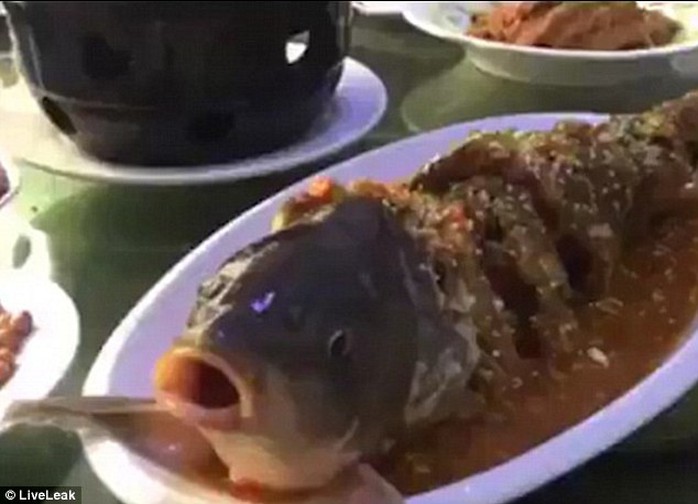 Món Cá âm dương. Ảnh: LiveLeak