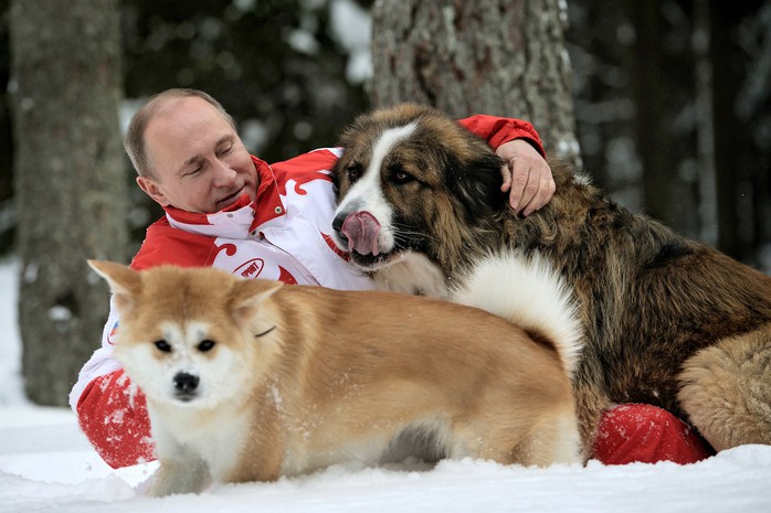 
Ông Putin chơi đùa cùng 2 con chó cưng Buffy và Yume. Ảnh: SPUTNIK NEWS
