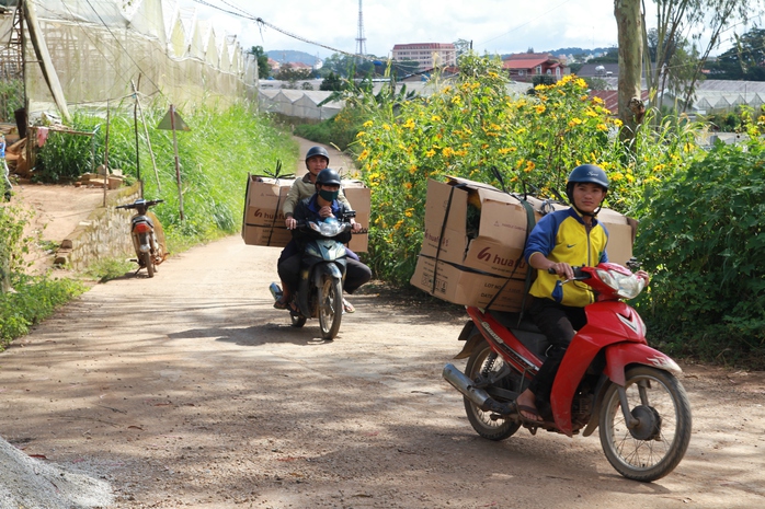 
Sinh viên túc trực nhiều ngày mới mua được ít hoa để bán kiếm lời.
