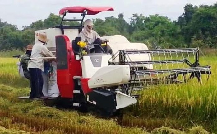 
Mấy năm gần đây, khi việc kinh doanh máy gặt lúa nở rộ, tình trạng tranh giành địa bàn, đánh chém nhau thường xuyên xảy ra trên các cánh đồng ở Thanh Hóa
