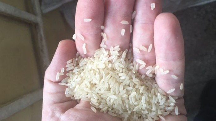 Số gạo giả nhìn rất giống đồ thật. Ảnh: BBC