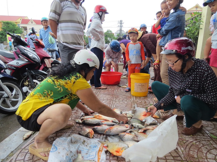 Chợ cá trên hè phố