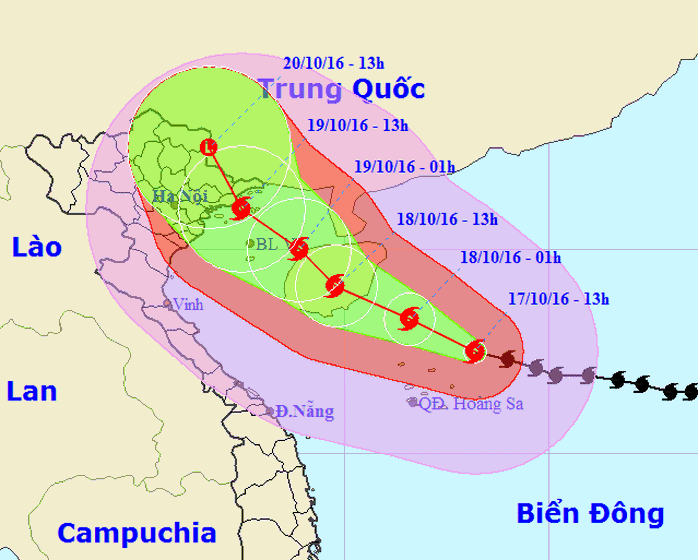 
Vị trí và dự báo đường đi của bão số 7 - Nguồn: Trung tâm dự báo khí tượng thuỷ văn Trung ương
