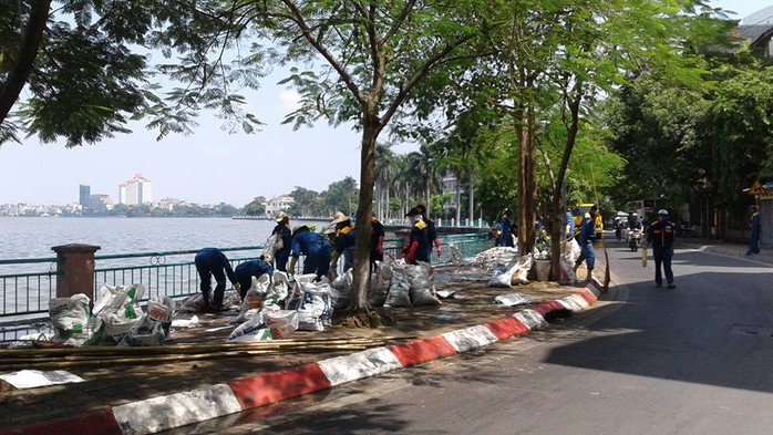 
Cá chết chất thành đống trên đường Nguyễn Đình Thi được thu gom đi tiêu huỷ
