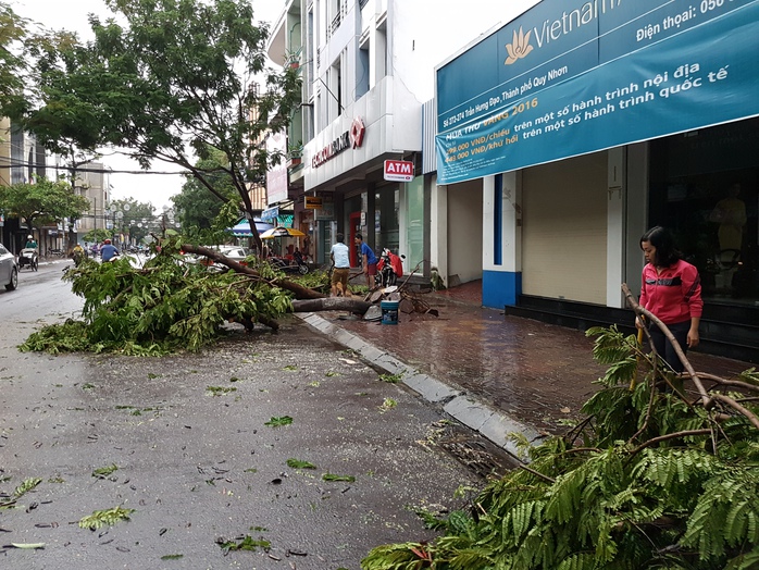 Cây xanh ngã đổ hàng loạt trên đường Trần Hưng Đạo, TP Quy Nhơn