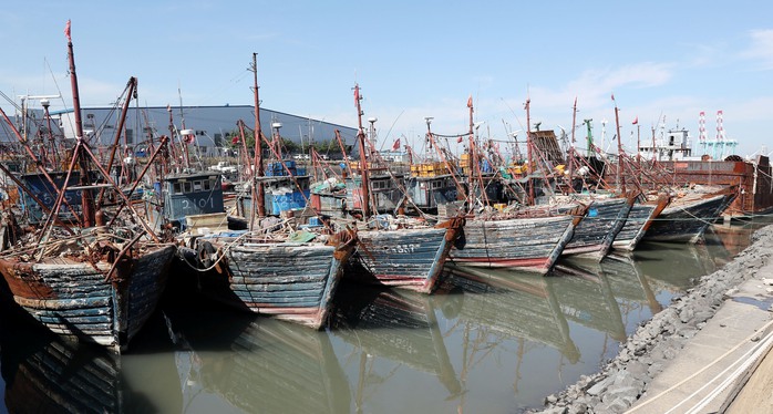 Một số tàu cá Trung Quốc bị giữ tại cảng ở TP Incheon - Hàn Quốc hôm 10-10Ảnh: Yonhap