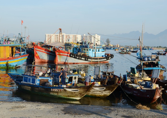 
Từ nay đến năm 2020, TP Đà Nẵng sẽ giảm tàu công suất nhỏ đánh bắt gần bờ nhằm bảo vệ môi trường, phát triển nghề cá hiệu quả
