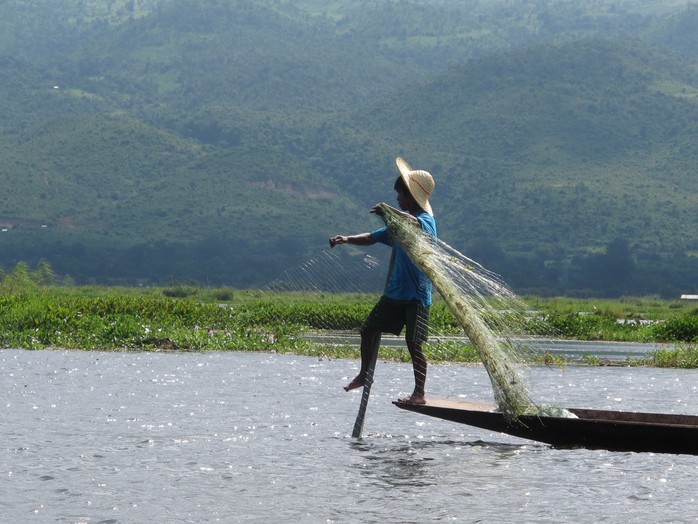Trả em vùng Inle theo cha mẹ đánh cá từ rất nhỏ