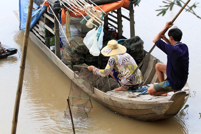 
Ngay cả việc người dân dùng đú 12 cửa ngục cũng không dính được cá.
