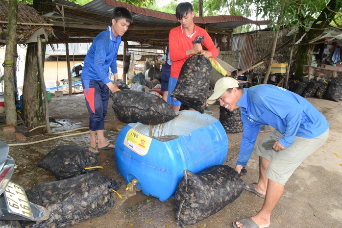 
Những anh em công nhân trong đội khuân vác của anh Linh được chủ vựa trả công 150.000 đồng/ngày.
