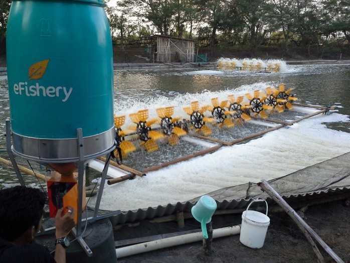 Cybreed – một startup của Indonesia cho ra đời sản phẩm eFisheries: một hệ thống các cảm ứng theo dõi chuyển động và đo “độ đói” của cá để cho ăn vừa đủ và kịp thời.