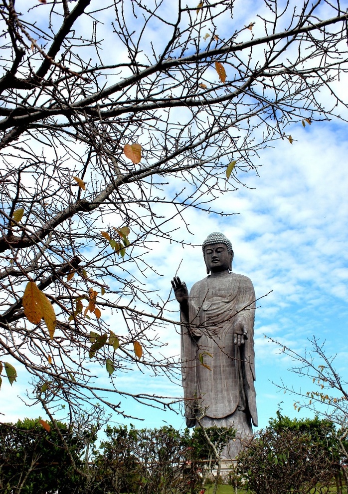Xung quanh là công viên trồng nhiều loại hoa khác nhau theo mùa: tùng, anh đào, cánh bướm… Tại đây, du khách có thể đi dạo vườn hoa và cho cá ăn…