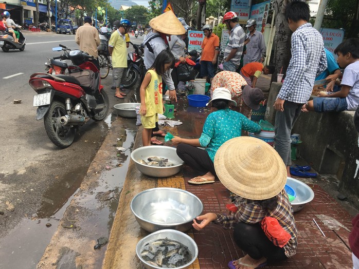 
Nhiều người tranh thủ bán ngay tại kênh với giá 10.000 đồng/kg cá nhỏ, 30.000 đồng/kg cá lớn
