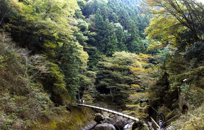 
Khung cảnh nên thơ tại thác Fukuroda
