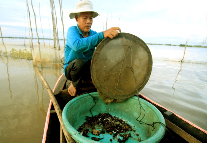 
Dân nghèo ở xã Thường Thới Hậu A, huyện Hồng Ngự, tỉnh Đồng Tháp tỏ ra kém vui vì lũ đã về nhiều nhưng nguồn lợi thủy sản thì không có gì đáng kể.
