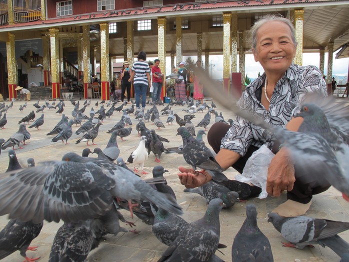 
Một ngôi chùa rất nhiều bồ câu ở Inle
