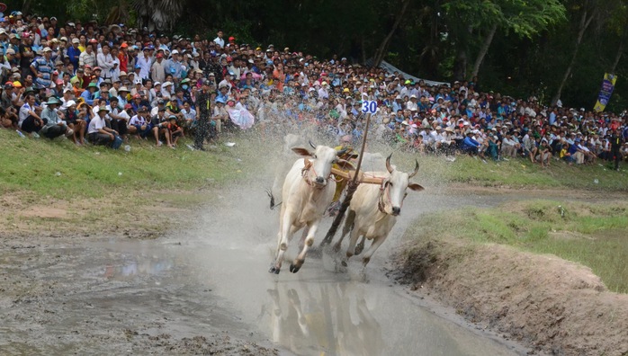 
Như những chiến binh trên sân nước
