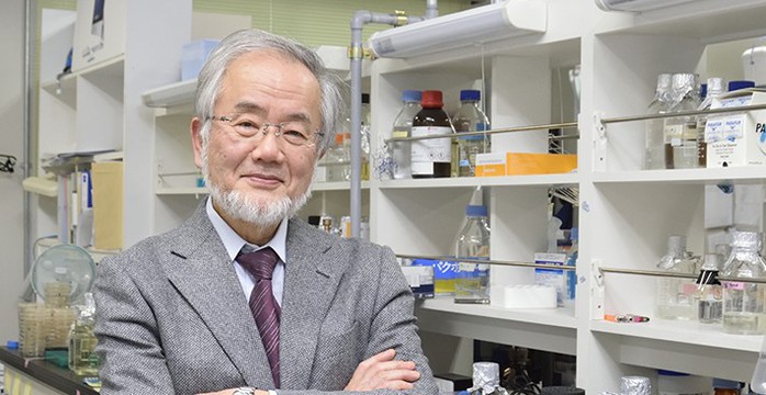 
Ông Yoshinori Ohsumi. Ảnh: titech.ac.jp

 
