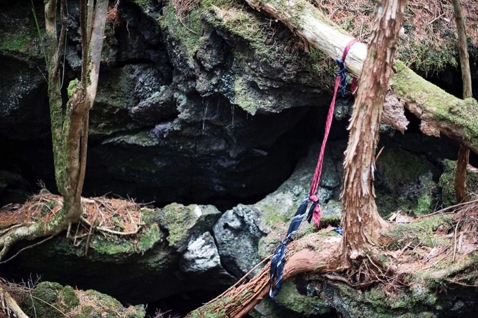 Khung cảnh chết chóc bên trong khu rừng Aokigahara. Ảnh: The Straw Hat Backpacker, Japan Times