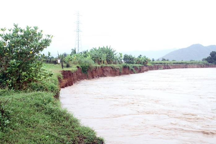 
Bờ sông Dinh ở xã Phước Sơn, huyện Ninh Phước bị sạt lở nặng do lũ, uy hiếp khu dân cư quanh vùng.

 

