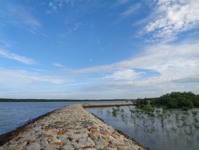 Con đê dài đẹp mê hồn trên đảo Thạnh An. Ảnh: Ngọc Anh.
