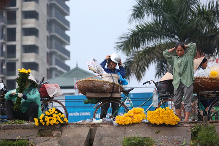 
Những gánh hàng hoa, chiếc xe đạp chọn thời điểm tờ mờ sáng để chất đầy những bó hoa màu sắc để trôi len lỏi trên phố phường Thủ đô.

 
