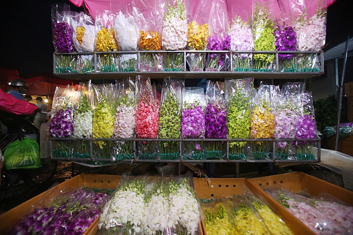 
Nhiều loài hoa lan được đóng vào hộp bảo quản trong thùng lạnh từ nước ngoài về cũng có mặt.

 


Phải có mặt từ tờ mờ sáng thì mới thấy được sự hấp dẫn của chợ hoa Quảng Bá. Hoa ở đây bạt ngàn, đủ các loại như hoa hồng, cúc, thược dược… tươi thắm đủ sắc màu.

 


Một bó hoa lys tại chợ có giá từ 70.000 đến 200.000 đồng, hoa layơn cũng chỉ từ 40.000 đồng/chục bông.

 


Người mua hoa thường xuyên là những chủ cửa hàng hoa lớn nhỏ khắp thủ đô, thỉnh thoảng ngày rằm mùng 1 hay ngày lễ 8/3, 20/10 luôn có lượng khách đột xuất đến chợ để ngắm, để kinh doanh thời vụ.

 


Ngày thường, chợ chỉ họp vào ban đêm. Nhưng những ngày cuối năm, chợ hoạt động cả đêm lẫn ngày bởi lượng người đổ về mua sắm rất đông, đặc biệt là vào ngày 29 và 30 tháng Chạp.

 


Tiểu thương nhỏ luôn có mặt tại chợ từ rất sớm, nhanh chóng chọn hoa để mang đi tiêu thụ ở các chợ cóc, chợ tạm hay vào các shop hoa lớn.

 


Những gánh hàng hoa, chiếc xe đạp chọn thời điểm tờ mờ sáng để chất đầy những bó hoa màu sắc để trôi len lỏi trên phố phường Thủ đô.

 






