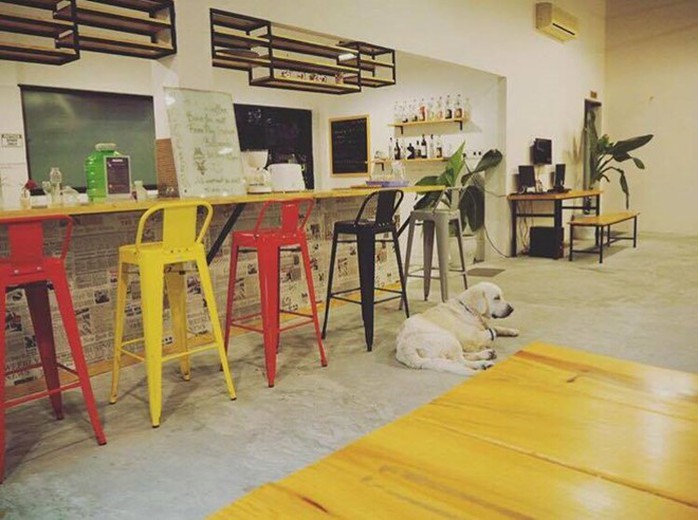 Phòng ăn của Packo cũng được thiết kế rất bắt mắt như một quán cà phê nhỏ, với bàn gỗ dài và những chiếc ghế nhiều màu, tạo nên cảm giác hấp dẫn, thích thú khi bước vào. Ảnh: Sunny_scorpior.